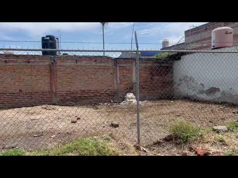 Previsualización del video