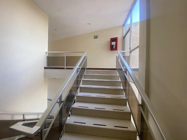 Foto de la galeria de imagenes