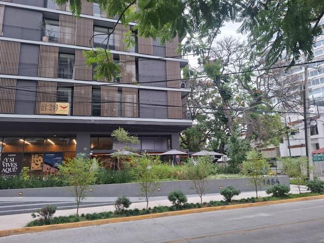 Foto de la galeria de imagenes